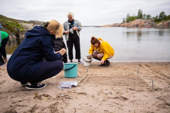 Pienen roskan havainnointi- kuva_Niina Talvensaari